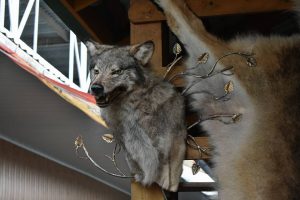 Anything I should take home from Russia wolf skin
