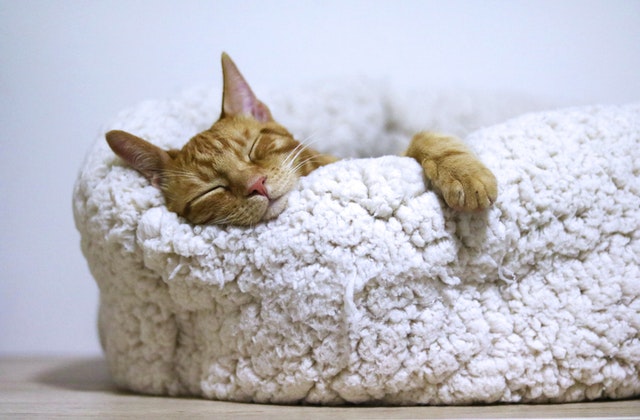 Don’t skip your beauty sleep